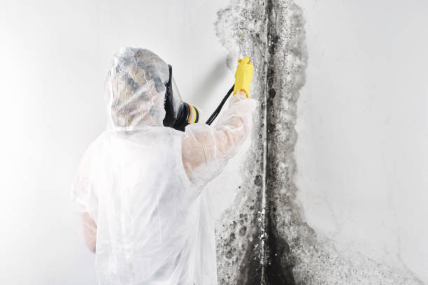 Best Water damage restoration services  in USA